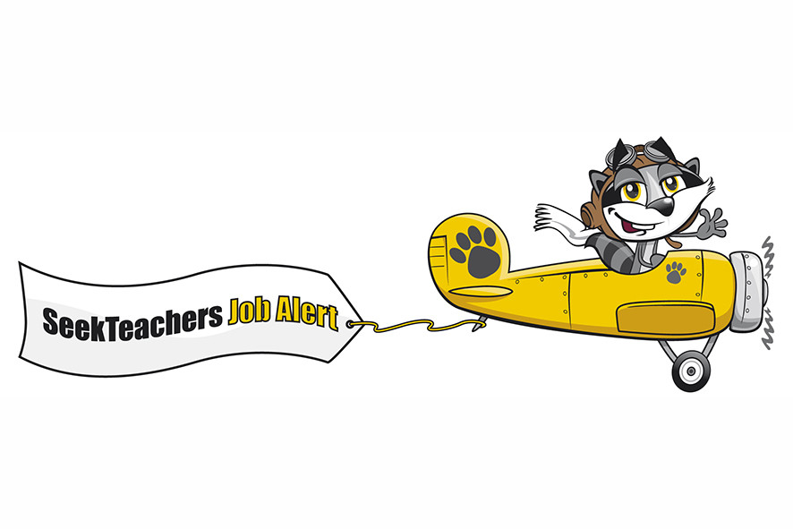  raccoon plane job alert